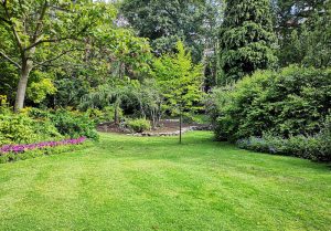 Optimiser l'expérience du jardin à Thicourt